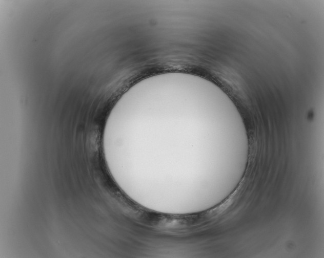 X0000091070174200708061031
