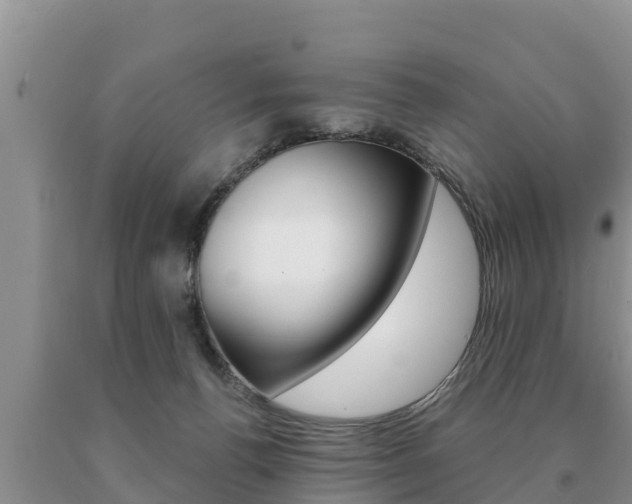 X0000091070176200708061031