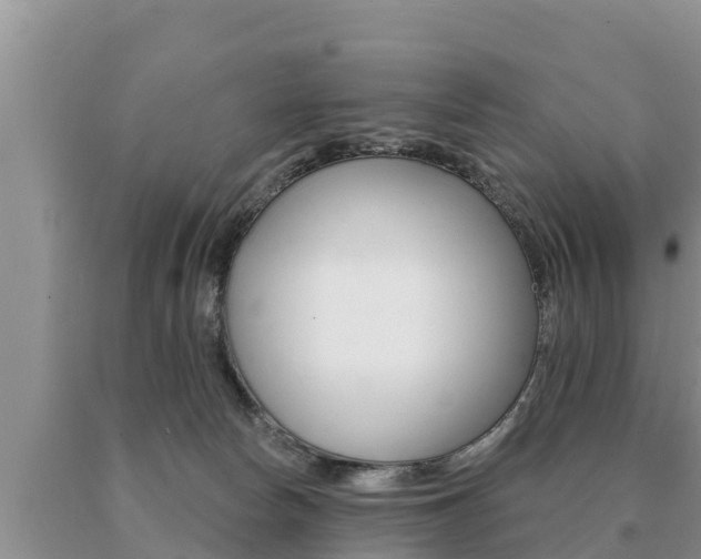 X0000091070178200708061031