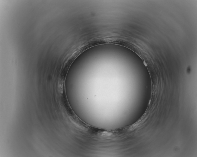 X0000091070180200708061031