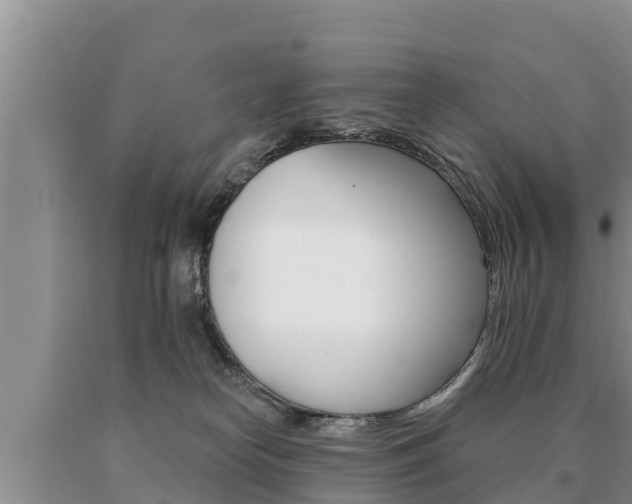 X0000091070182200708061031