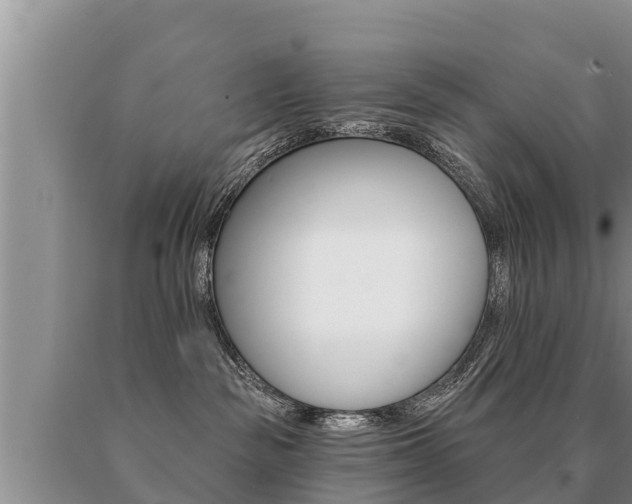 X0000091070189200708061031