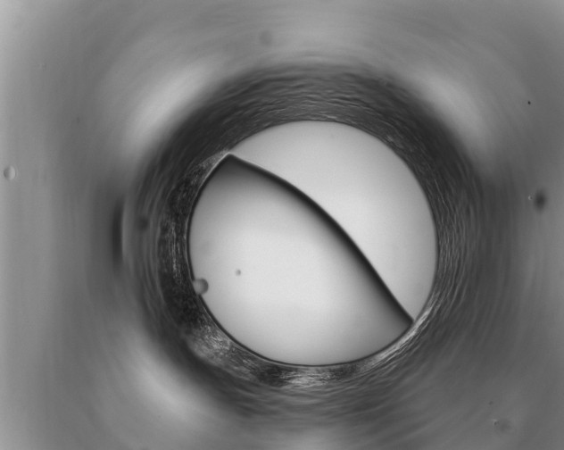 X0000091070191200708061031