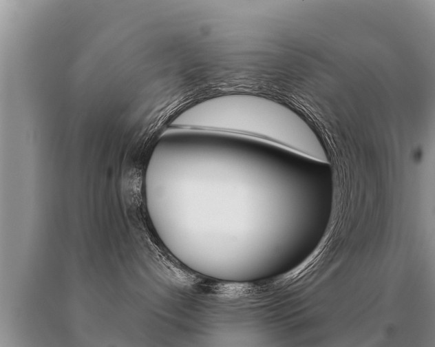 X0000091070192200708061031