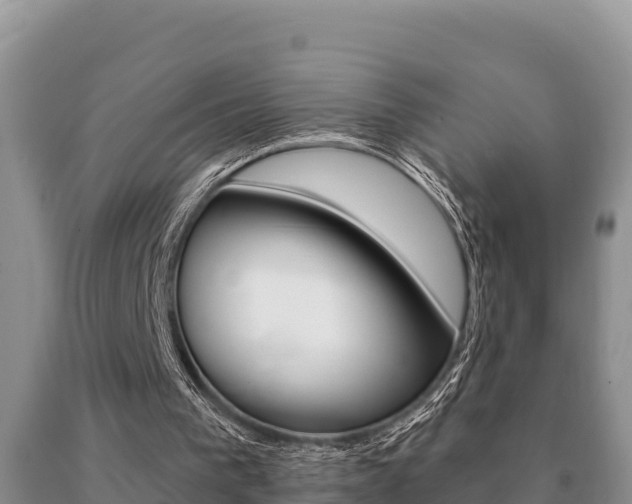 X0000091070193200708061030