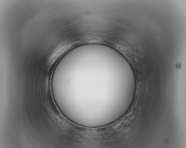 X0000091070194200708061030
