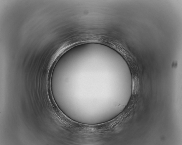 X0000091070195200708061030