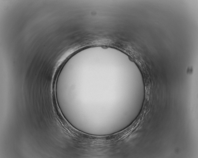 X0000091070196200708061030