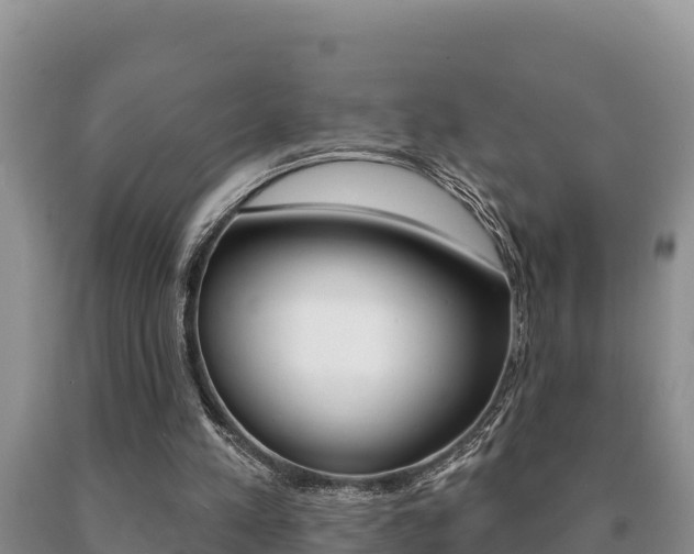 X0000091070197200708061030