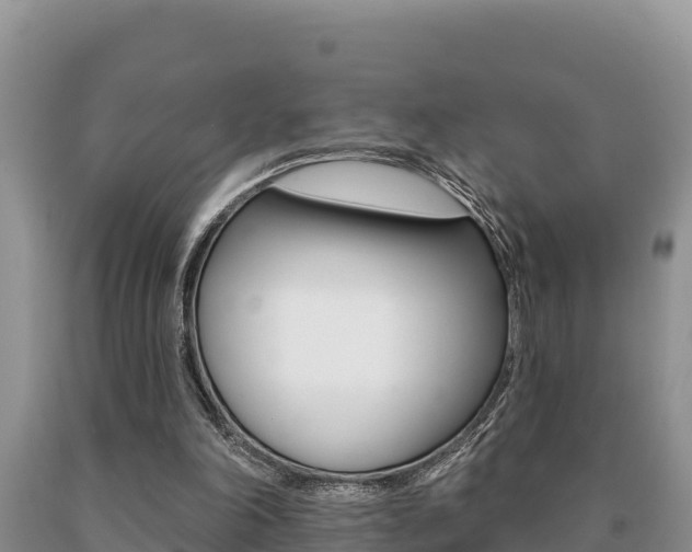 X0000091070198200708061030