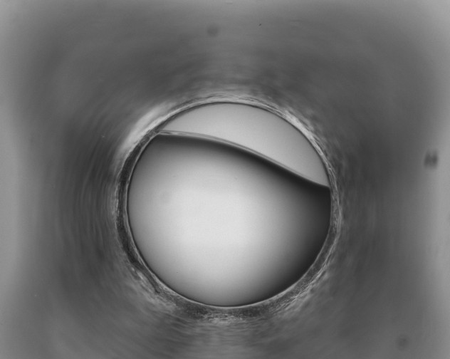 X0000091070199200708061030