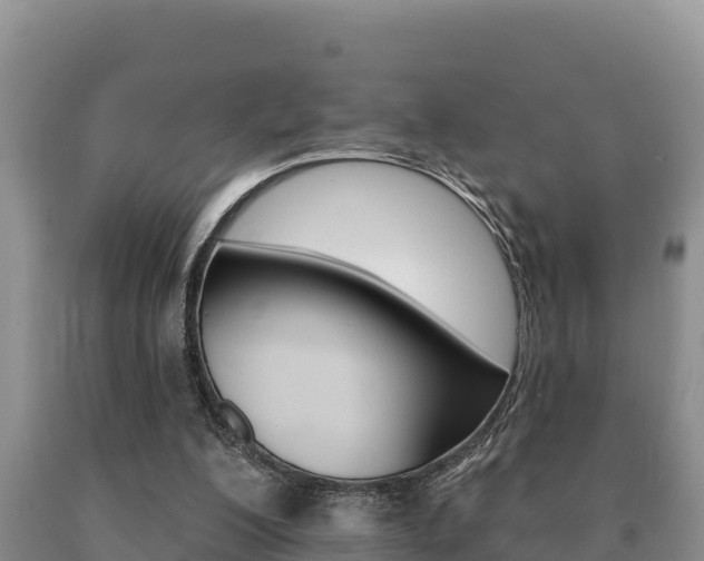 X0000091070200200708061030