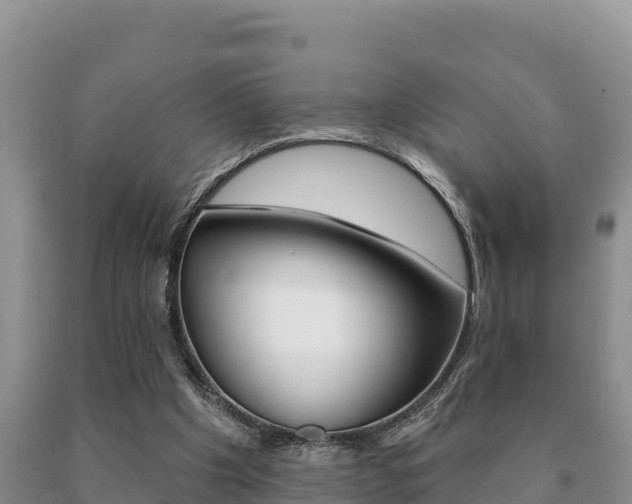 X0000091070201200708061030