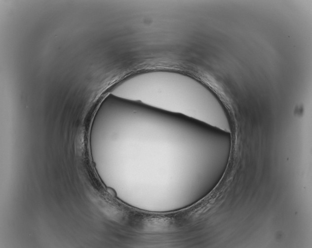 X0000091070202200708061030