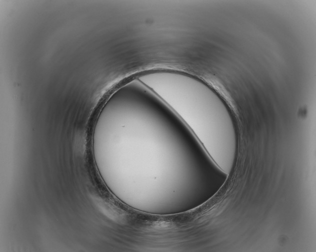 X0000091070204200708061030
