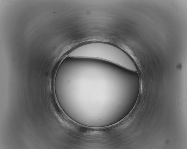X0000091070205200708061030