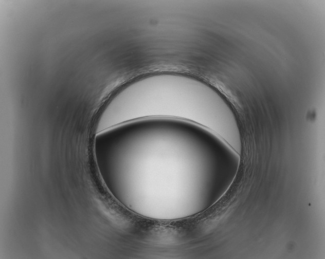 X0000091070207200708061030