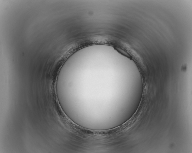 X0000091070209200708061030