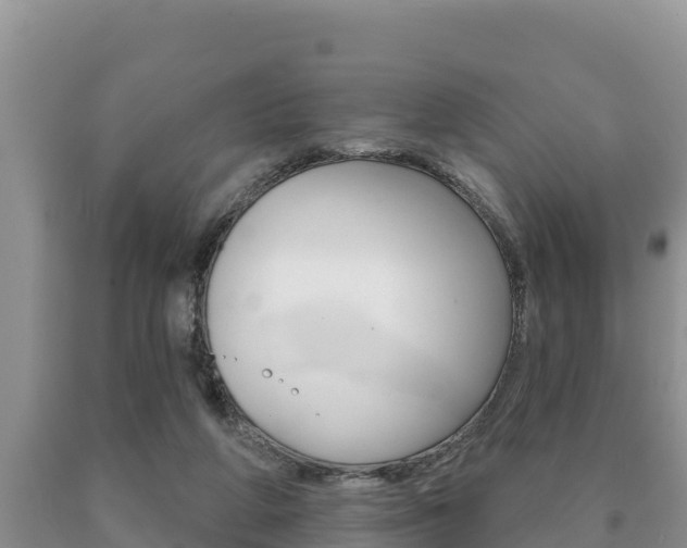 X0000091070210200708061030