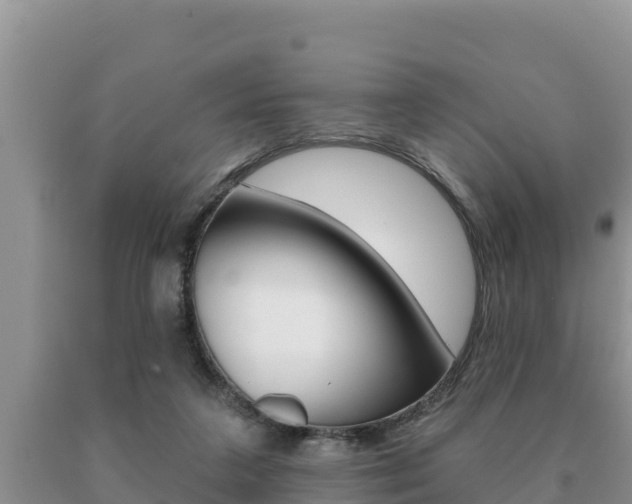X0000091070211200708061030