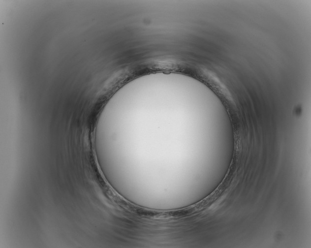 X0000091070213200708061030
