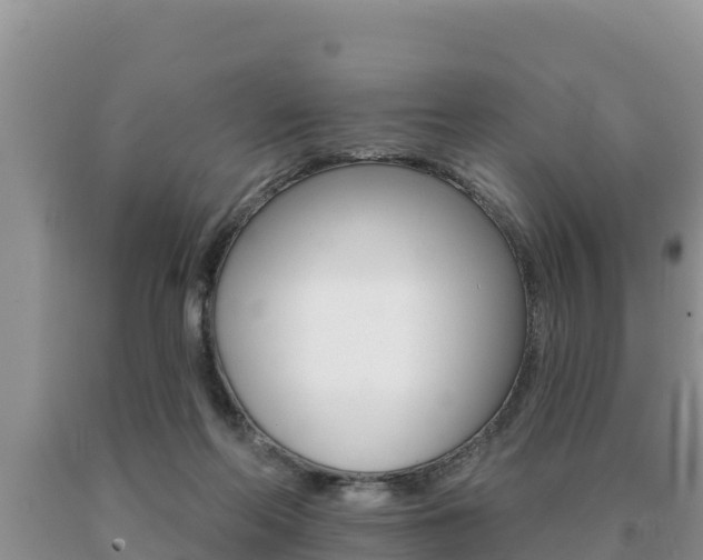 X0000091070214200708061030