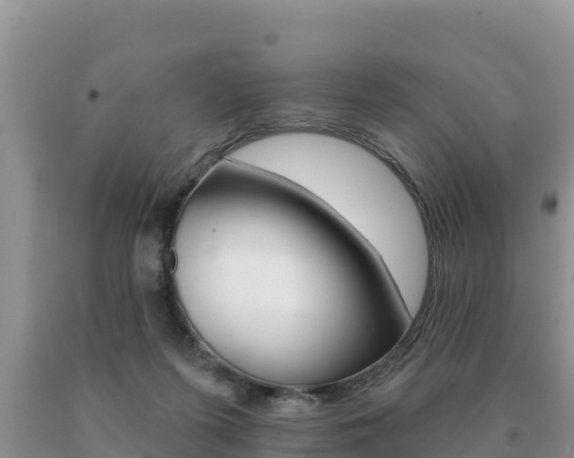 X0000091070215200708061030