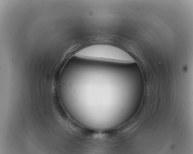 X0000091070216200708061030
