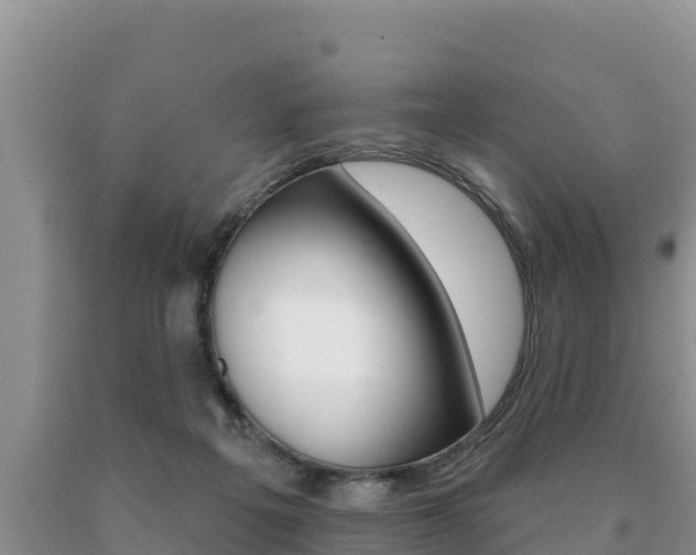 X0000091070217200708061030