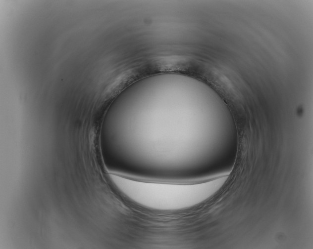 X0000091070219200708061030