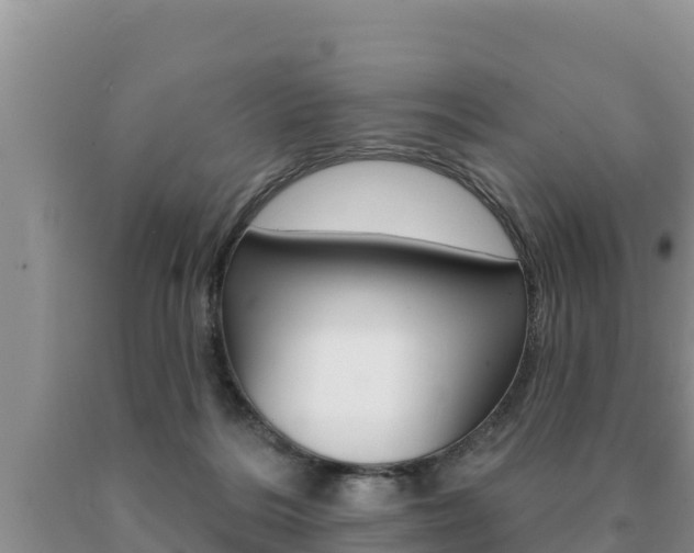 X0000091070220200708061030