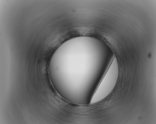 X0000091070221200708061030