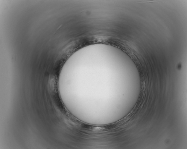 X0000091070222200708061030