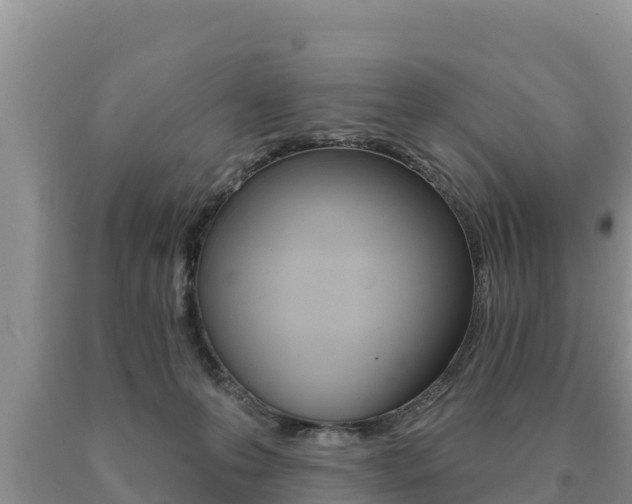 X0000091070223200708061030