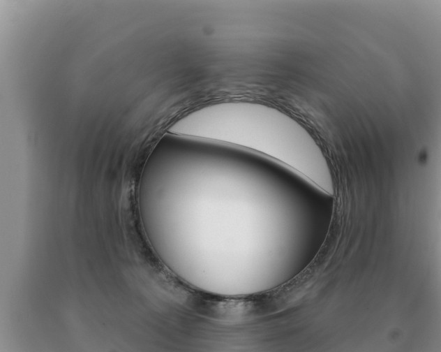 X0000091070225200708061030