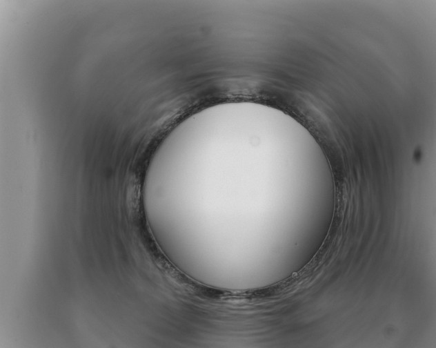 X0000091070228200708061030