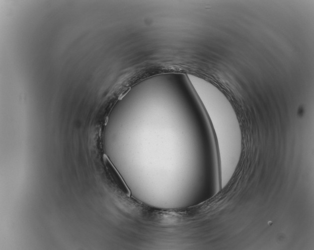 X0000091070229200708061030