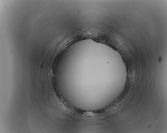 X0000091070231200708061030