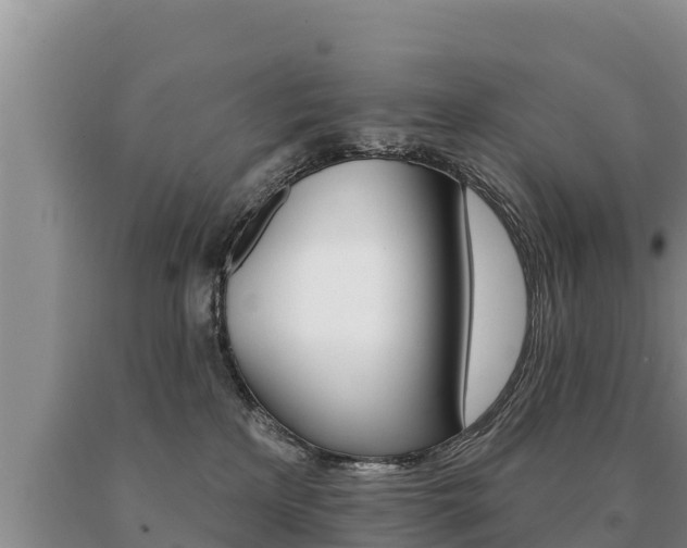X0000091070233200708061030