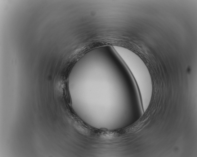 X0000091070235200708061030