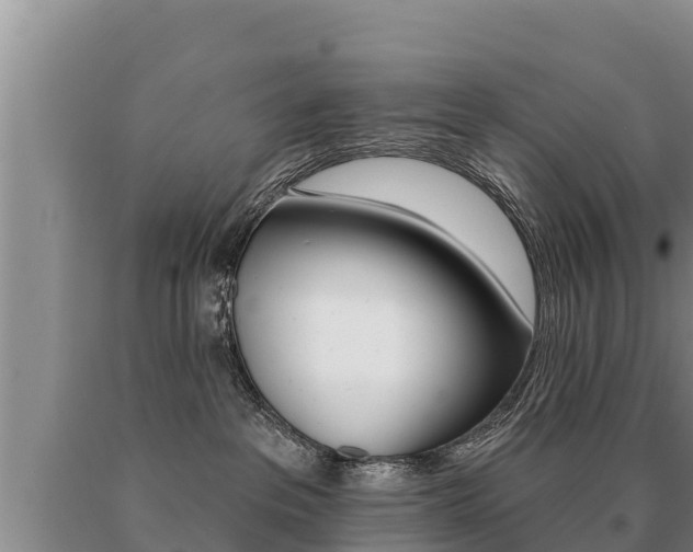 X0000091070237200708061030