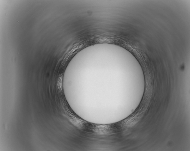 X0000091070240200708061030