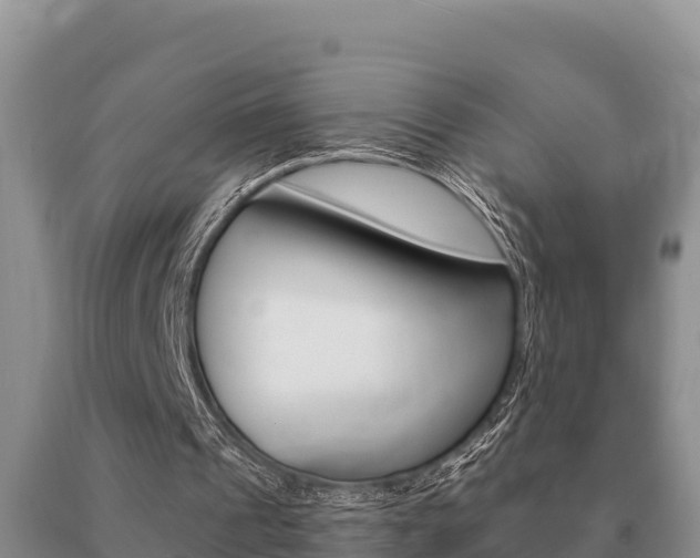 X0000091070241200708061029