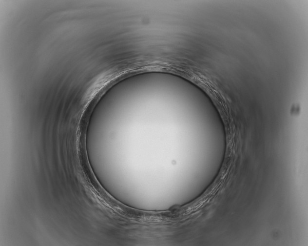 X0000091070242200708061029