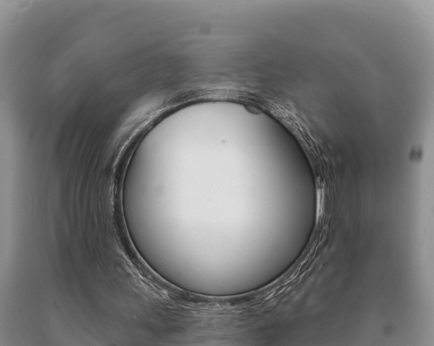 X0000091070243200708061029