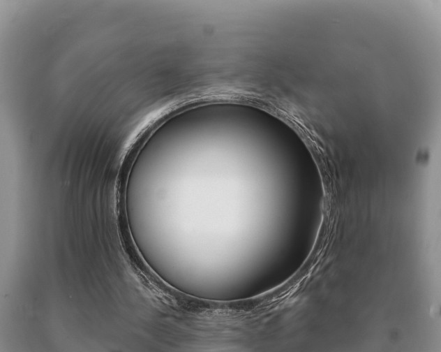 X0000091070244200708061029