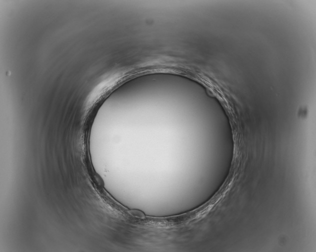 X0000091070245200708061029