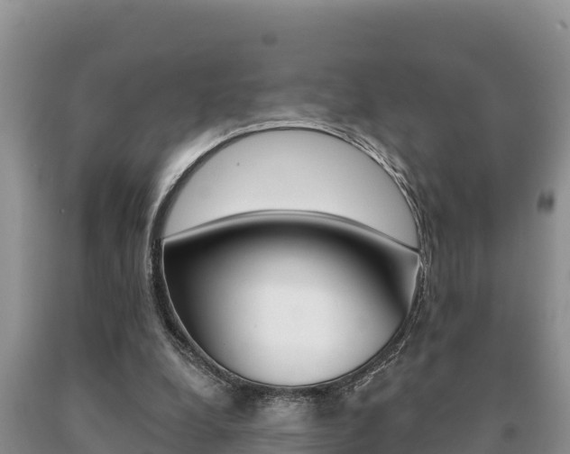 X0000091070248200708061029