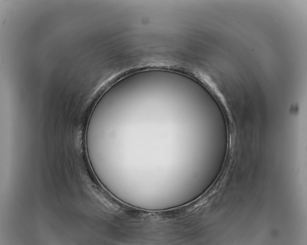 X0000091070249200708061029