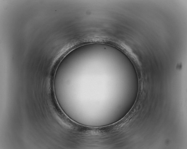 X0000091070250200708061029